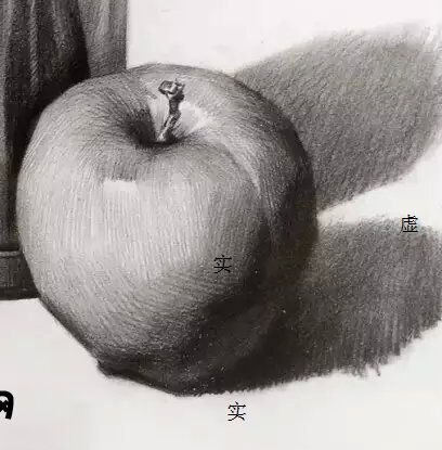 苹果素描