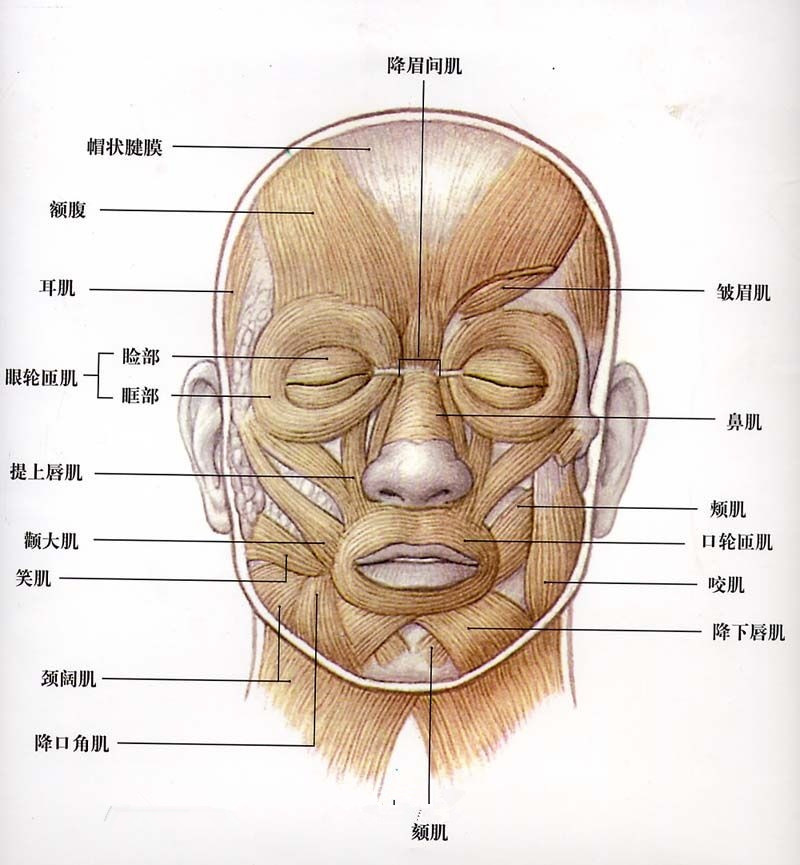 北京画室前十名