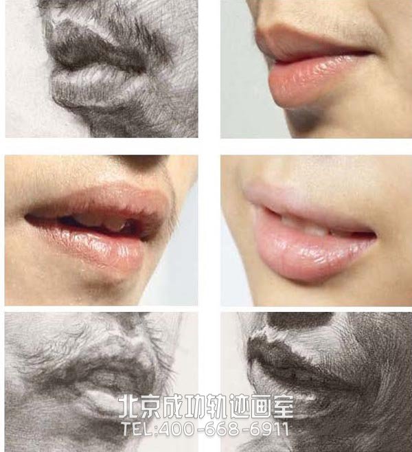 素描嘴唇的画法图解6