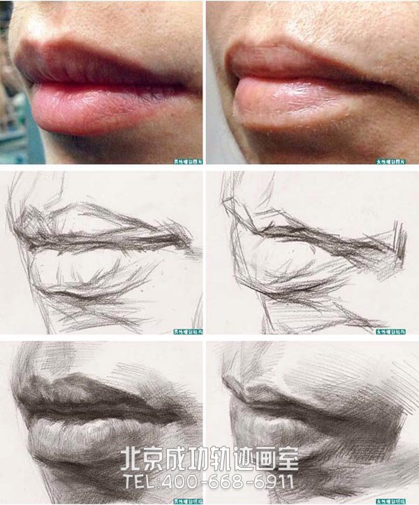 素描嘴唇的画法图解3