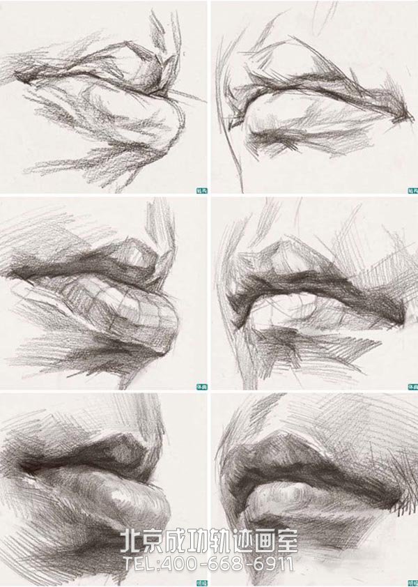 素描嘴唇的画法图解4