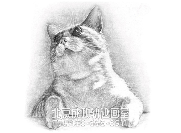 初学素描入门基础