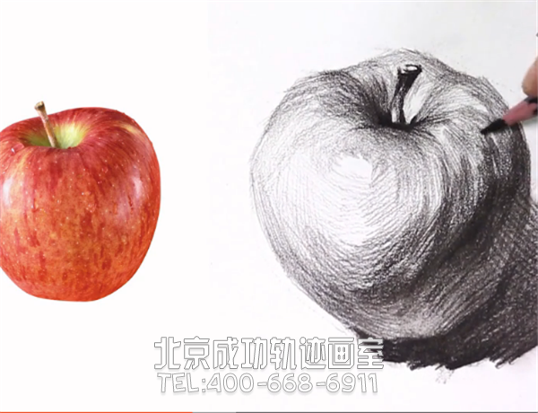 素描苹果的画法及步骤