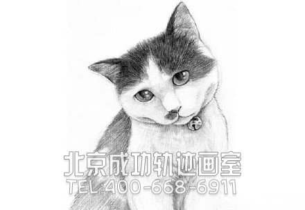 猫怎么画?猫的素描教程