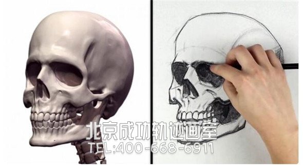 素描教程：人物头部骨骼结构的素描画法步骤