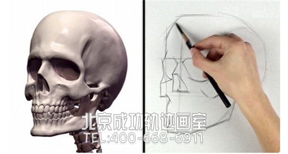 素描教程：人物头部骨骼结构的素描画法步骤