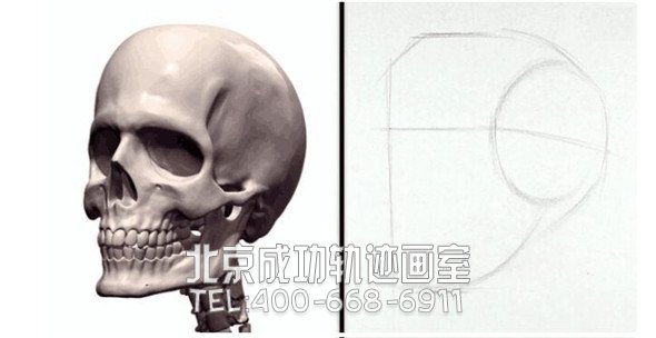 素描教程：人物头部骨骼结构的素描画法步骤