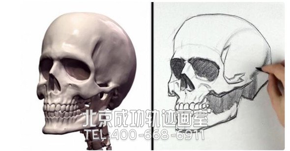 素描教程：人物头部骨骼结构的素描画法步骤