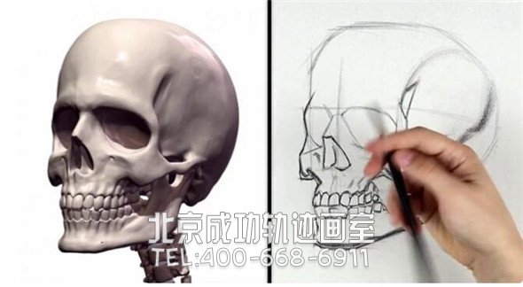 素描教程：人物头部骨骼结构的素描画法步骤