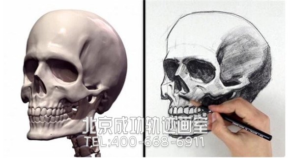 素描教程：人物头部骨骼结构的素描画法步骤