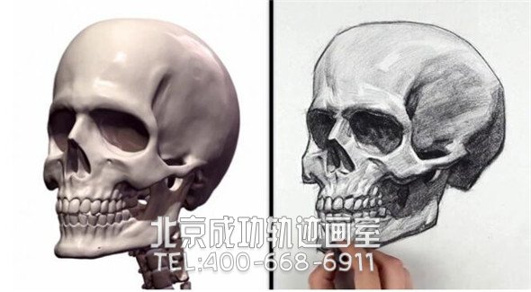 素描教程：人物头部骨骼结构的素描画法步骤