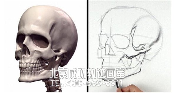 素描教程：人物头部骨骼结构的素描画法步骤