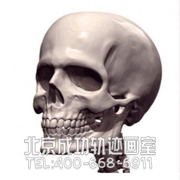 素描教程：人物头部骨骼结构的素描画法步骤