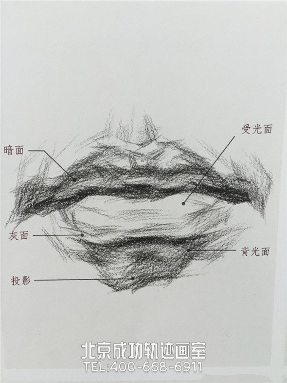 素描入门：眼睛鼻子嘴巴的素描精讲解析教程