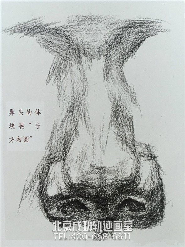 素描入门：眼睛鼻子嘴巴的素描精讲解析教程