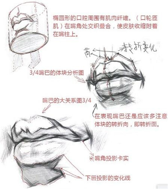 素描入门：素描嘴巴精讲教程