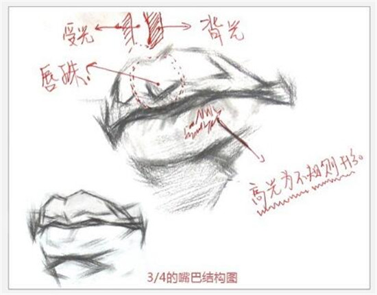 素描入门：素描嘴巴精讲教程